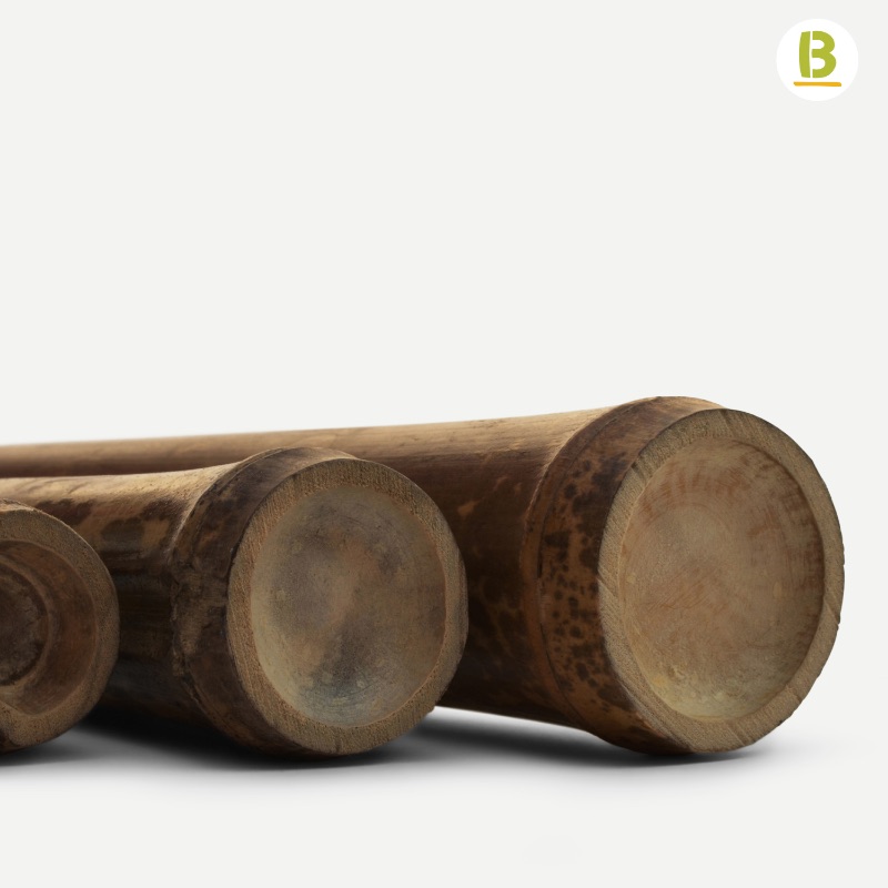 Cañas Bambú Leopard