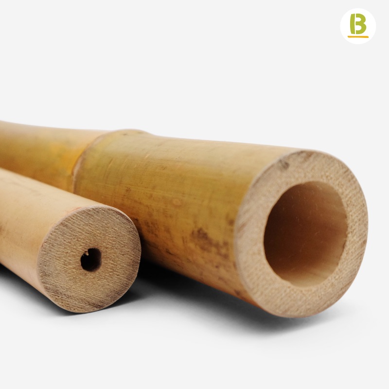 Cañas Bambú Tam Vong