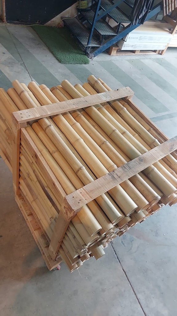 lote bambu oferta 9.jpg