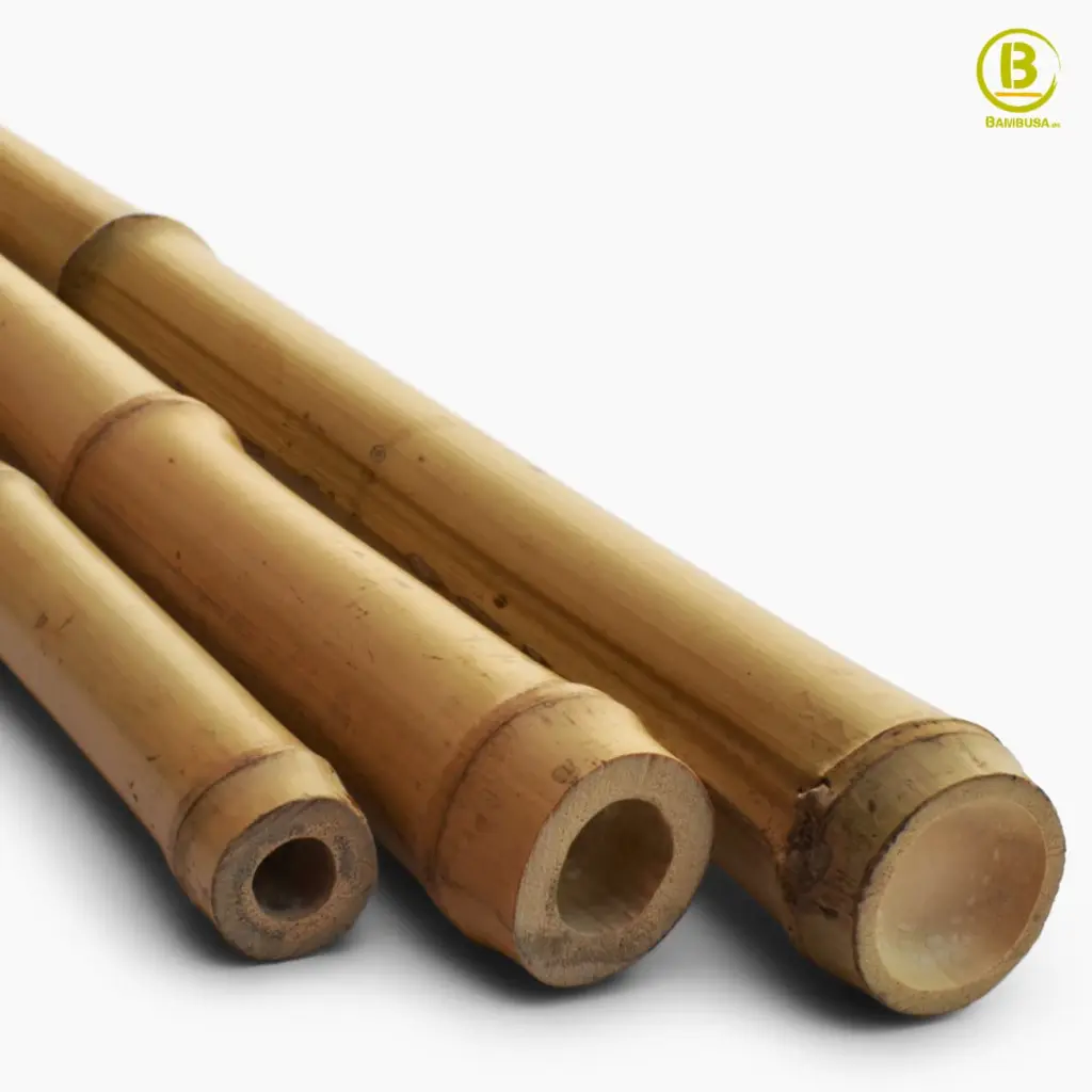 bambu-moso-fino-2.webp