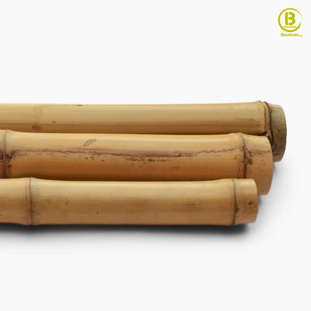 bambu-moso-fino-1.webp
