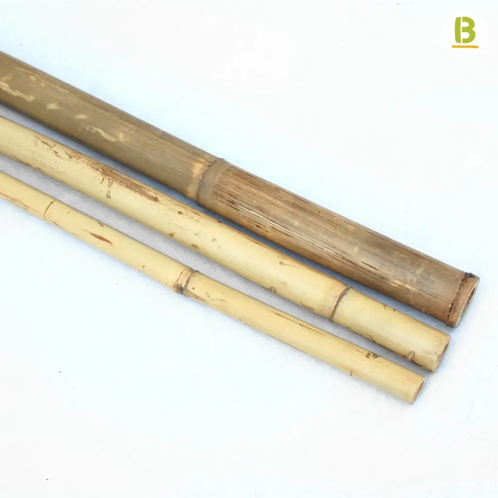 cañas-bambu-tonkin-4.webp