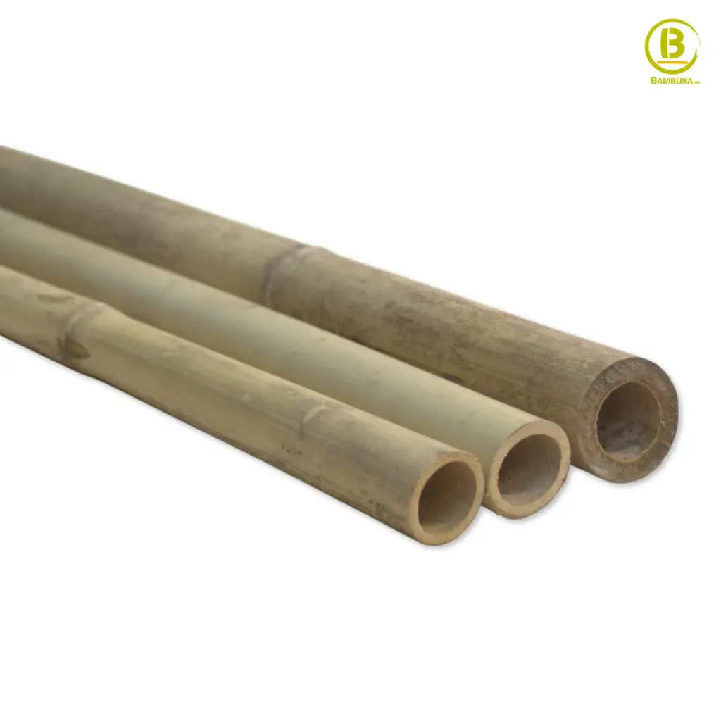 cañas-bambu-tonkin-5.webp