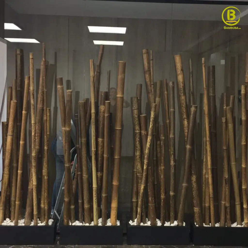 cañas-bambu-leopard.webp