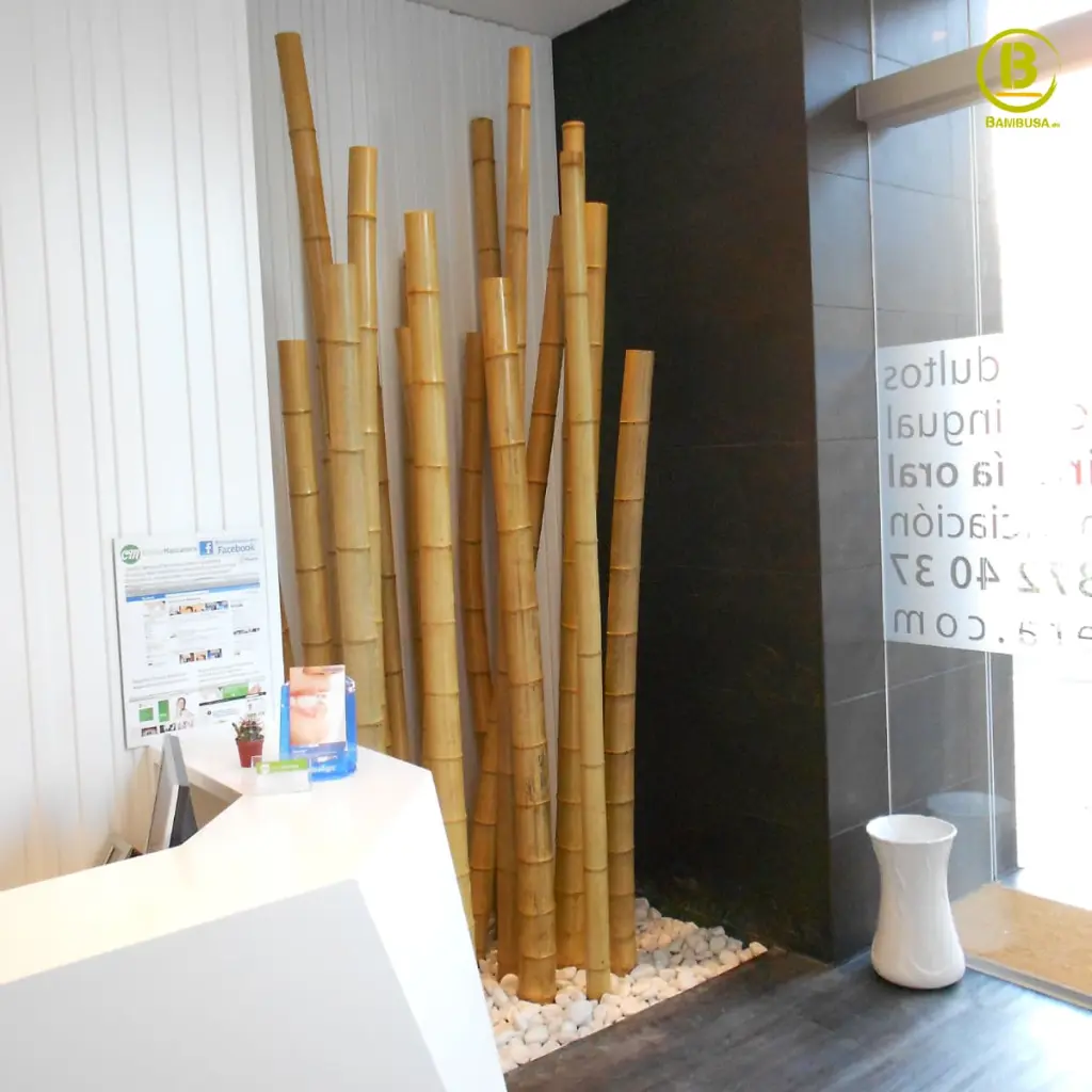 CAÑAS-bambu-moso.webp