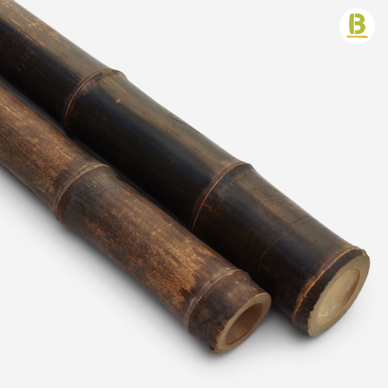 Cañas Bambú Black