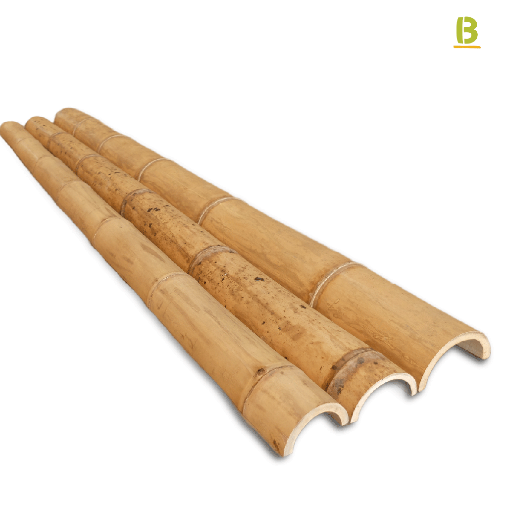 Media caña bambú Guadua