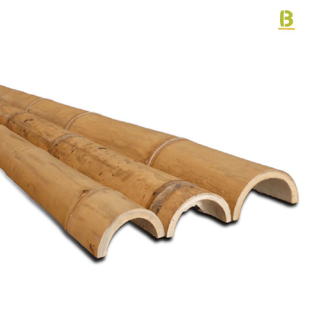 Media caña bambú Guadua