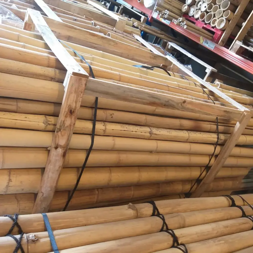 Palet Bambú Moso Outlet 300cm