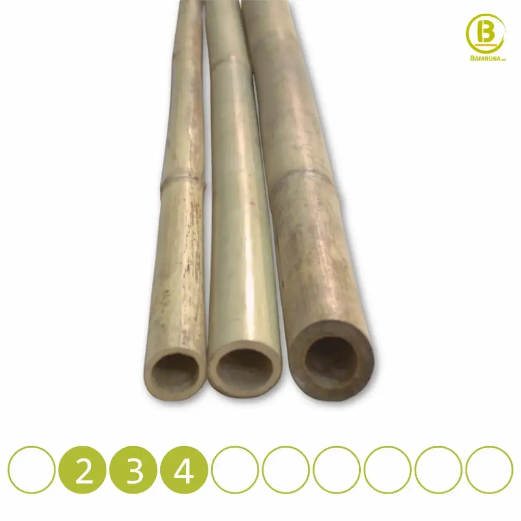Tonkin Bamboo Poles