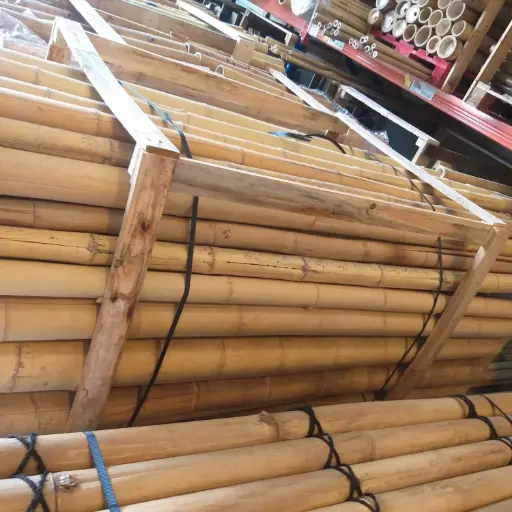 Palet Bambú Moso Outlet 300cm