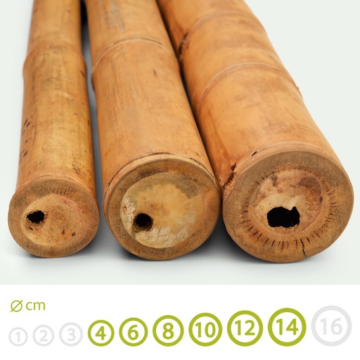 Guadua Bamboo poles