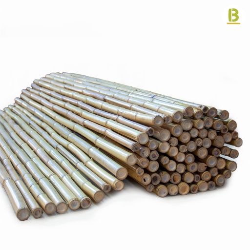 Rolos de bambu Moso Ø35