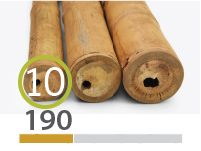 Guadua bamboo poles - 9-11-cm-en - 190-m-en