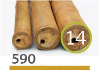 Guadua bamboo poles - 13-15-cm-en - 590-m-en