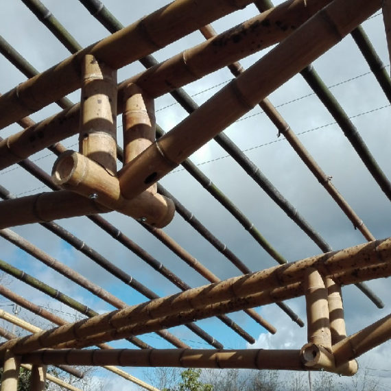 cercha en bambú para techo verde