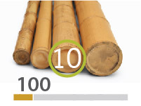 Moso Bamboo poles - 9-11-cm-en - 100m-en-2