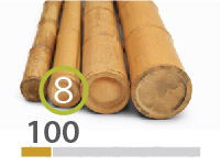 Moso Bamboo poles - 7-9-cm-en - 100m-en-2