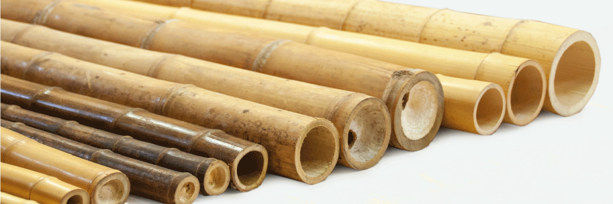 Canne di Bambù e derivati al miglior prezzo - Bambusa Shop